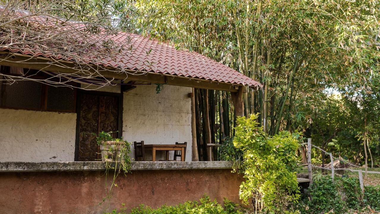 Hotel Mi Corazon Chilapa de Alvarez Eksteriør billede